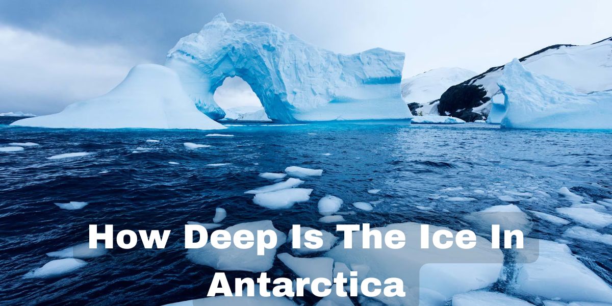 How Deep Is The Ice In Antarctica