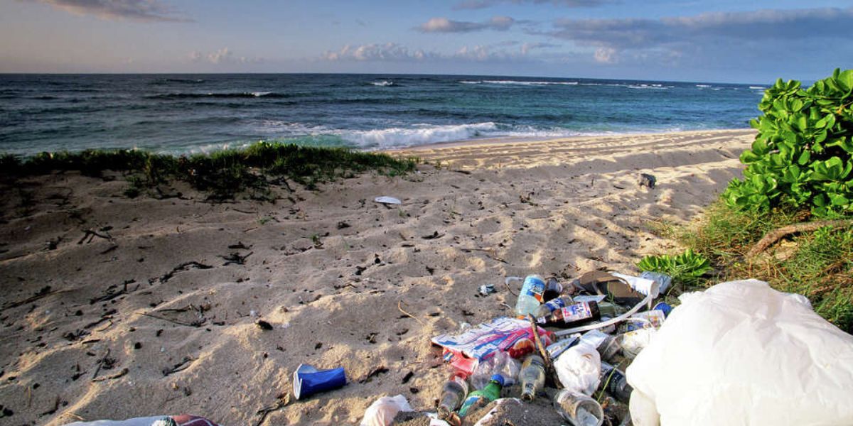 India Generates Highest Plastic Pollution In World Solution From New Study